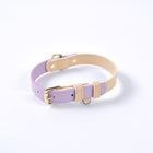 Saddle Leather Leash & Collar, view 13