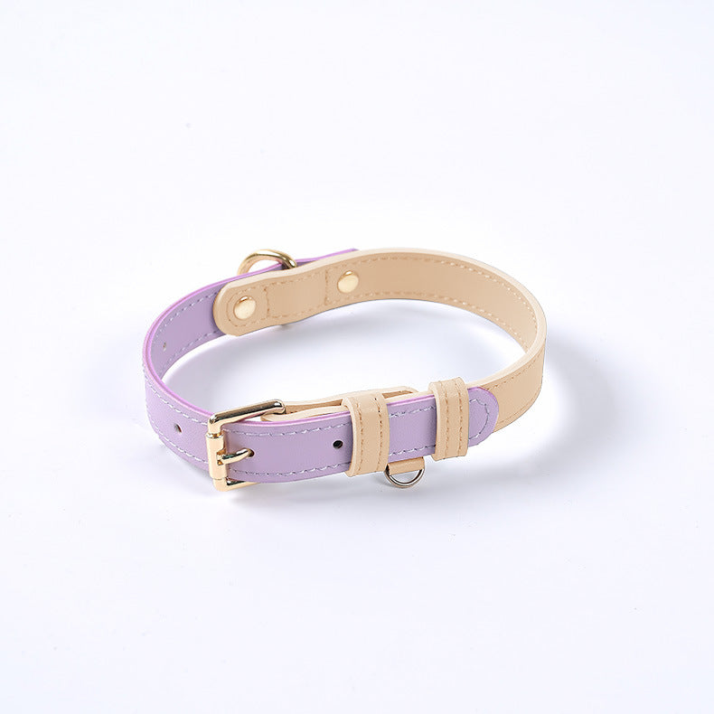 Saddle Leather Leash & Collar, view 13