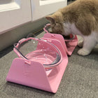 Prism Tilted Cat Bowl