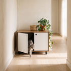A grey tabby cat steps out of the FELVO Alcove litter enclosure, a low two-tone bench with a wood top in a sunlit hallway