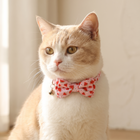 A cream cat wears the FELVO Blossom watermelon-print bow tie collar with a small bell
