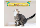 Loop track toy suction-mounted to a wall, a tabby kitten looking up at the balls inside