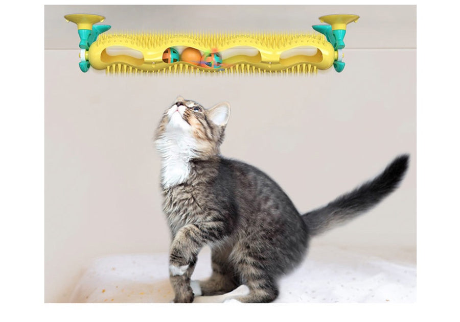 Loop track toy suction-mounted to a wall, a tabby kitten looking up at the balls inside