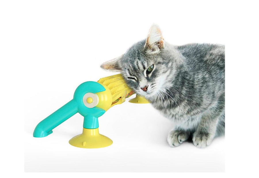 Cat rubbing its cheek along the Loop track bristles, toy standing on its suction feet