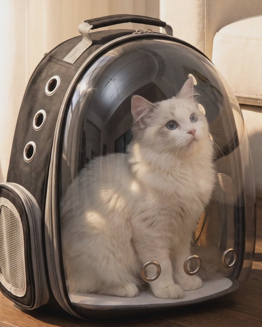Vista Clear Cat Backpack in motion