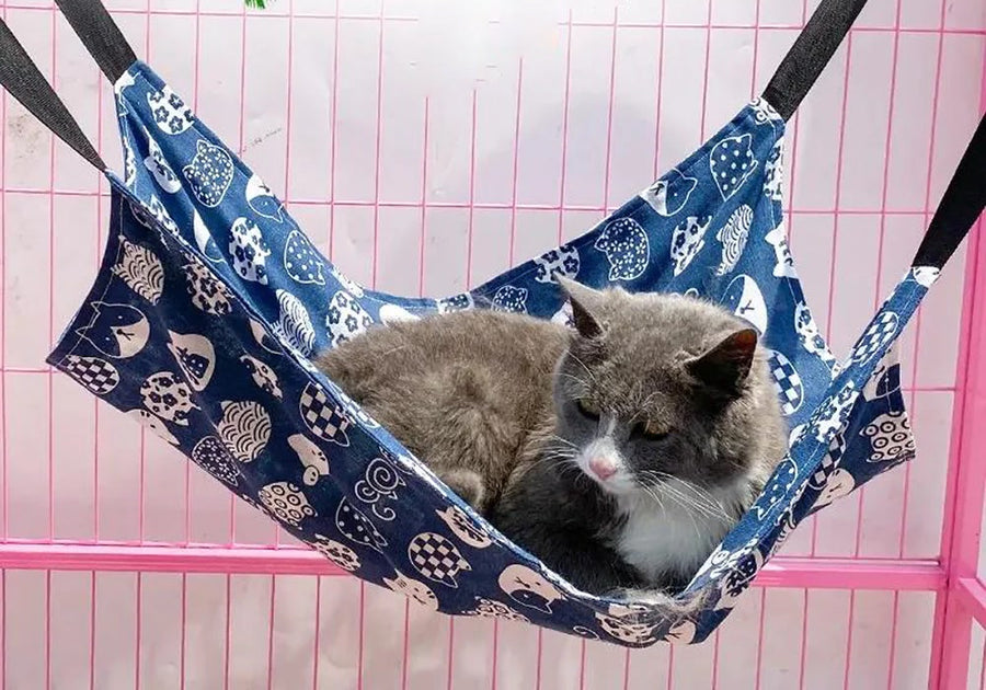 Ledge hammock in navy cat-print fabric hung by adjustable straps, a grey cat resting inside
