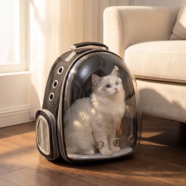 Vista Clear Cat Backpack — FELVO lifestyle