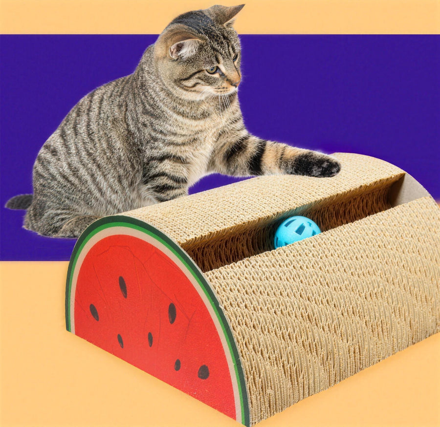 Strata Little Watermelon style: rounded dome scratcher with a bell ball in the slot, cat pawing at it